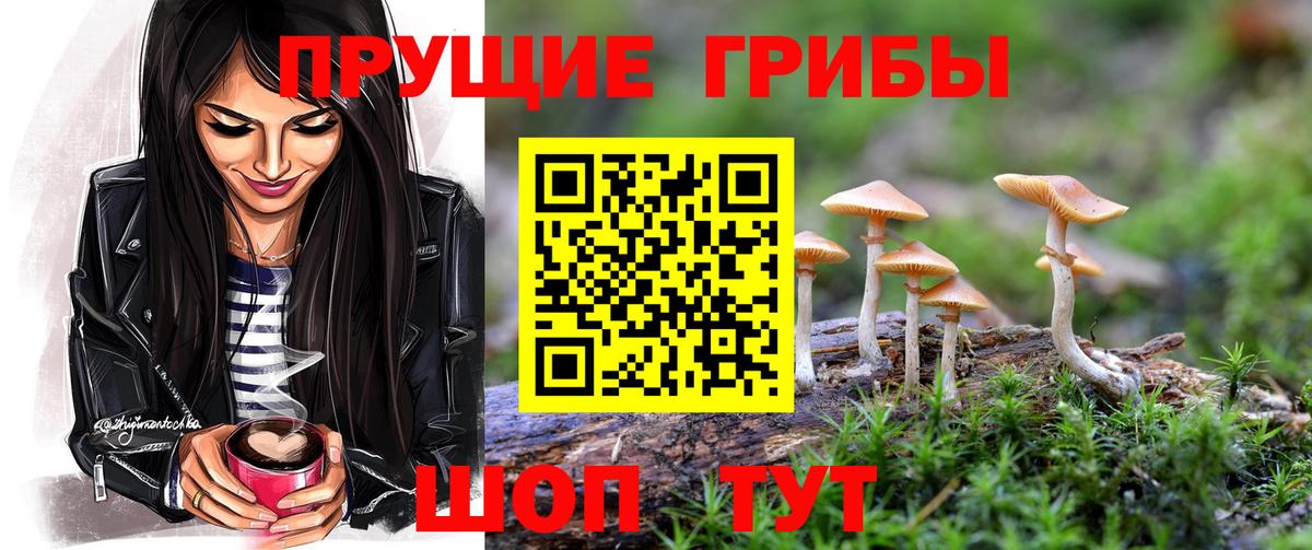 Галлюциногенные грибы прущие грибы  Вход с VPN  Гуково 