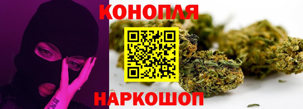Каннабис план Гуково